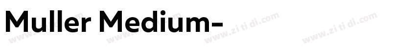 Muller Medium字体转换